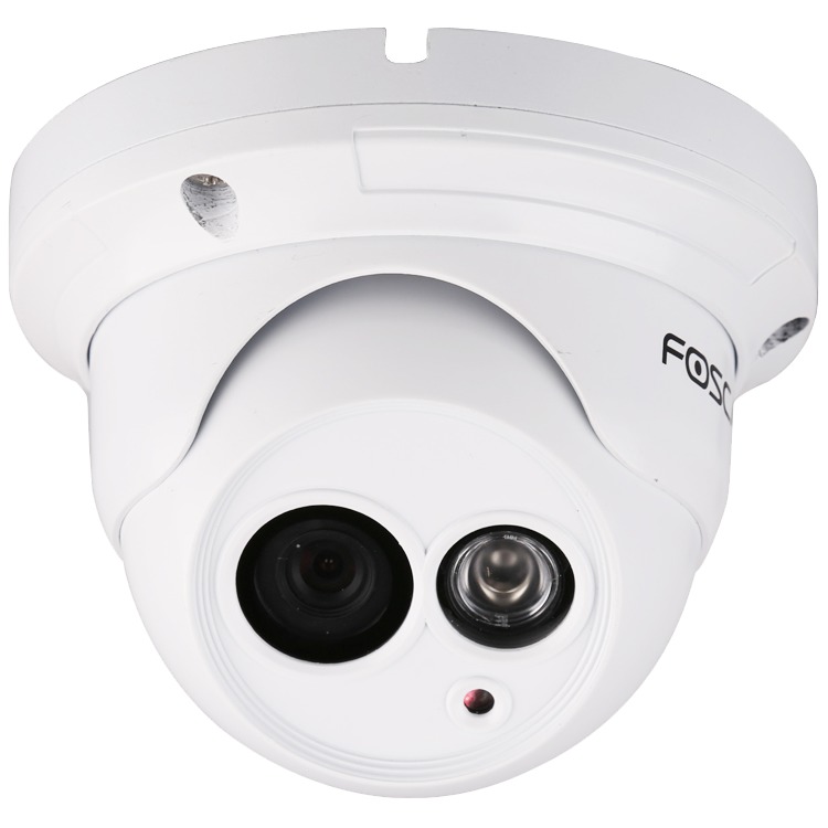 FI9853EP Buiten PoE Dome IP Camera