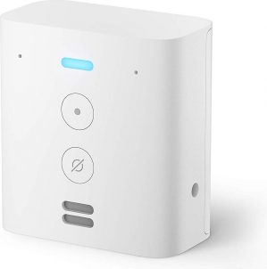 Amazon Echo flex