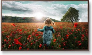 Samsung The Frame UE43LS003AS - 4K TV