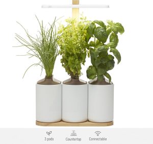 Lilo Connect, de indoor smart garden van Prêt à Pousser - inclusief Basilicum, Mint, Bieslook