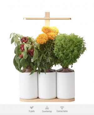 Lilo Edition, de indoor smart garden van Prêt à Pousser - Kweek heel het jaar door verse groenten, kruiden en bloemen (Aztec marigold, Spicy bush basil, Salad burnet, Mini chilli peppers, Mini red peppers)