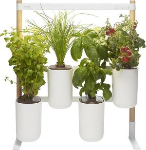 Modulo 2 - de veelzijdige indoor smart garden van Prêt à Pousser - Kweek heel het jaar door verse groenten, kruiden en bloemen (Pods: BASIL, CHIVES, MOROCCAN MINT, CHERRY TOMATOES) + 3 Pods offered