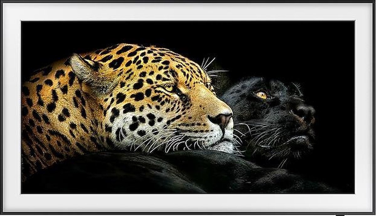 Samsung The Frame QE50LS03AAUXXC - 4K Smart TV (Europees Model)