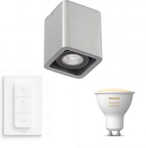 Artdelight Mona opbouwspot - LED - Zilver metaal - 1 lichtpunt - Incl. Philips Hue White Ambiance Gu10 & dimmer