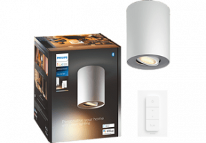 PHILIPS HUE Pillar opbouwspot WA DS 1-spot Switch Wit