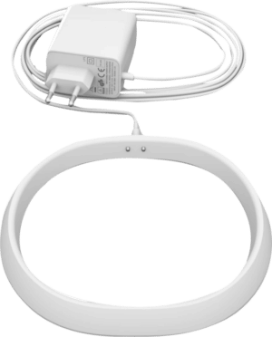 Sonos Move Charging Wit